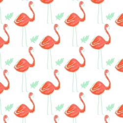 Flamingo | Obraz na stenu