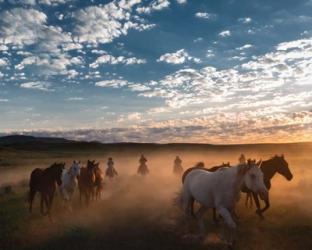 Ghost Riders | Obraz na stenu