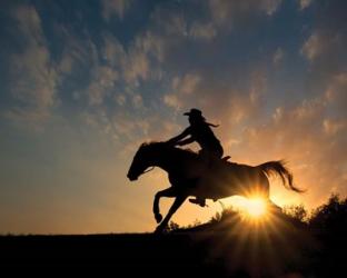 Lone Rider | Obraz na stenu