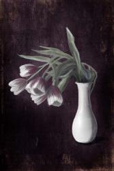 Droopy Tulips | Obraz na stenu