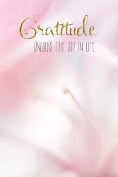 Gratitude Unlocks the Joy | Obraz na stenu