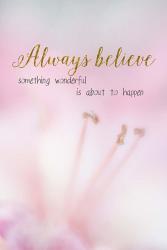 Always Believe | Obraz na stenu