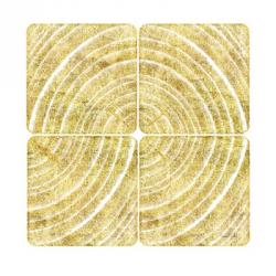 Tree Ring Triptych III | Obraz na stenu