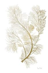 Fern Algae Gold on White 2 | Obraz na stenu