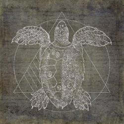 Turtle Geometric Silver | Obraz na stenu