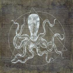 Octopus Geometric Silver | Obraz na stenu