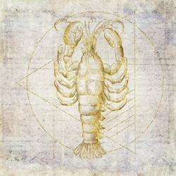 Lobster Geometric Gold | Obraz na stenu
