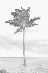 Swaying Palm I | Obraz na stenu