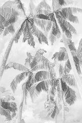 Swaying Palms IV | Obraz na stenu