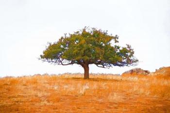 Lone Tree | Obraz na stenu
