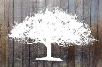 White Tree on Wood | Obraz na stenu