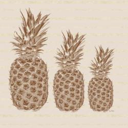 Three Pineapples | Obraz na stenu