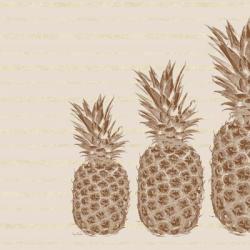 Pineapples - Right Three | Obraz na stenu