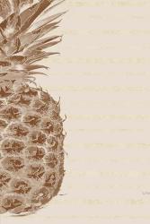 Left Side Pineapple | Obraz na stenu