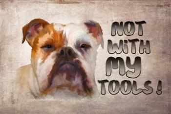 Not with My Tools | Obraz na stenu