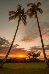 Sunset Palms II | Obraz na stenu