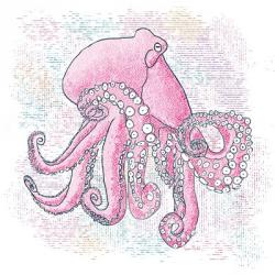 Octopus Hot Pink | Obraz na stenu