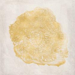 Tree Stump Golden III | Obraz na stenu