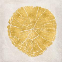 Tree Stump Golden IV | Obraz na stenu