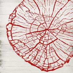 Tree Rings II | Obraz na stenu