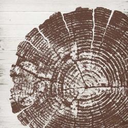 Tree Rings III | Obraz na stenu