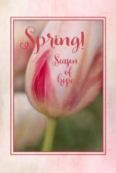 Spring Season of Hope | Obraz na stenu