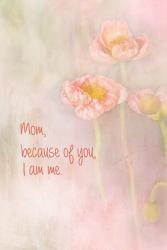 Mom Because of You I Am Me | Obraz na stenu