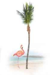 Flamingo in Paradise | Obraz na stenu