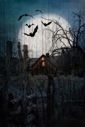 Spook House | Obraz na stenu