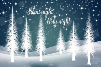 Silent Night | Obraz na stenu