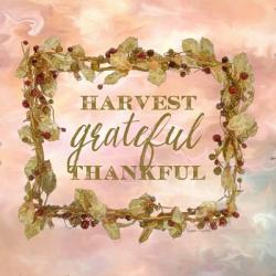 Harvest, Grateful, Thankful | Obraz na stenu