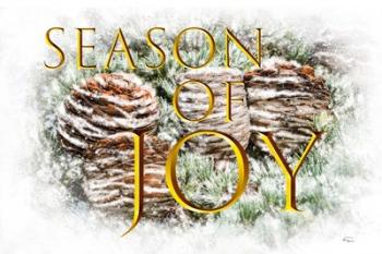 Season of Joy | Obraz na stenu