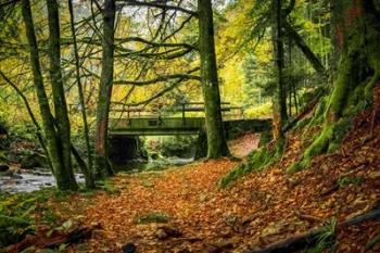 Black Forest River Bridge | Obraz na stenu