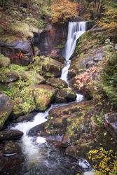 Black Forest Upper Falls | Obraz na stenu