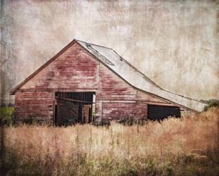 Red Shed | Obraz na stenu