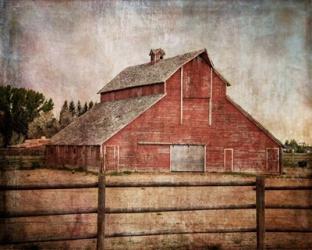 York Road Barn | Obraz na stenu