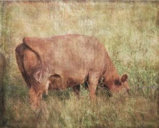 Lush Pastures | Obraz na stenu