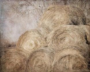 Round Bales | Obraz na stenu