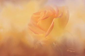 Reaching for Light | Obraz na stenu