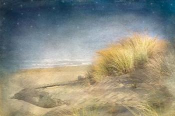 Starry Beach | Obraz na stenu