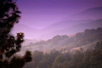 Misty Valley | Obraz na stenu