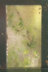 Bamboo Behind Frosted Glass | Obraz na stenu