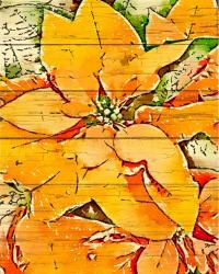 Poinsettia Gold | Obraz na stenu