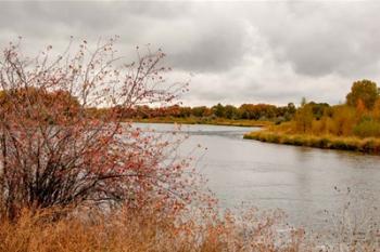 Snake River Autumn II | Obraz na stenu