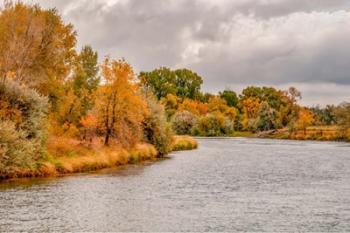 Snake River Autumn III | Obraz na stenu