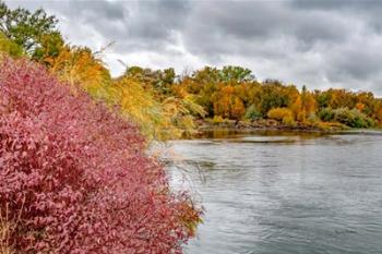 Snake River Autumn IV | Obraz na stenu