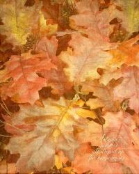 Autumn Dressed Up | Obraz na stenu