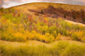 Autumn on the Hill | Obraz na stenu