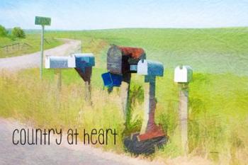 Country at Heart | Obraz na stenu