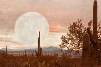 Desert Twilight | Obraz na stenu